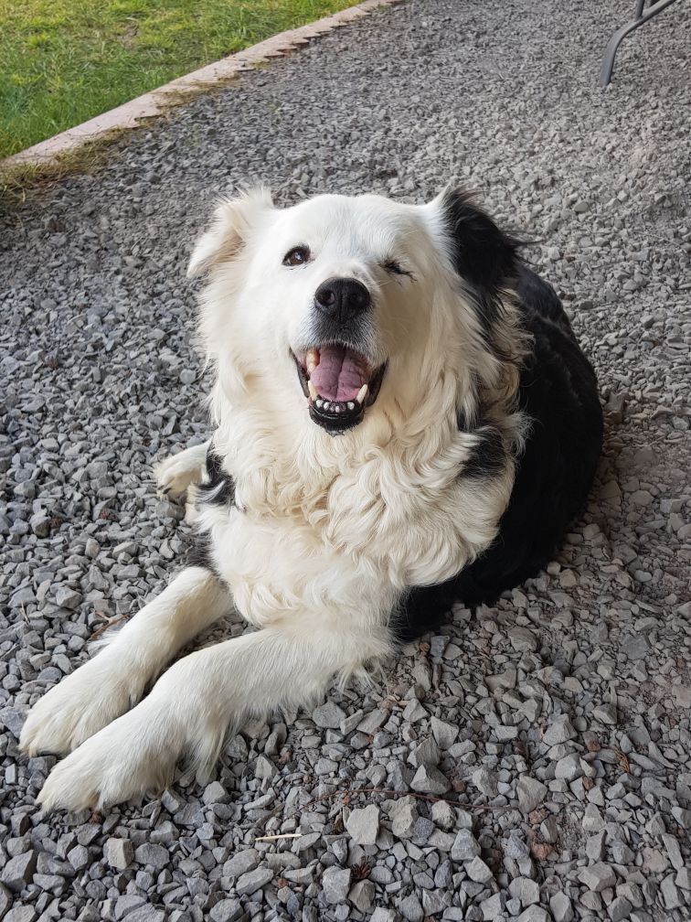 Suzie