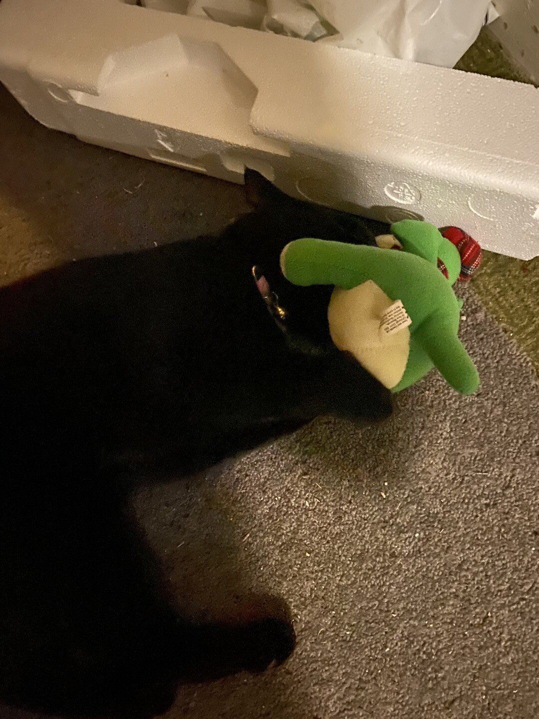Toothless