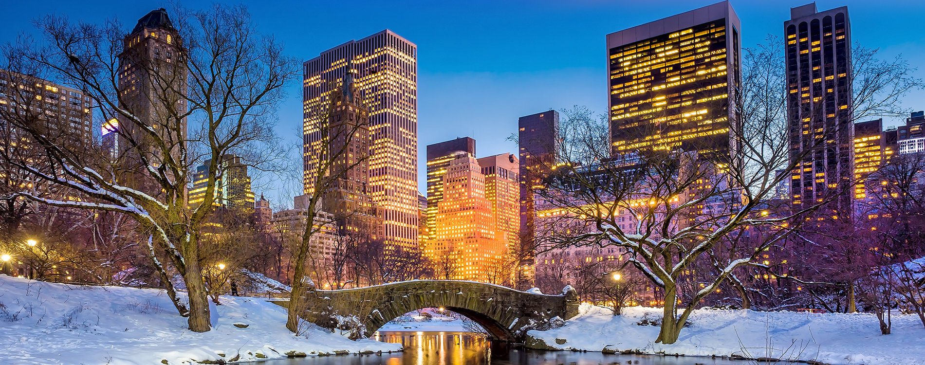 Snow covered bridge in Central Park