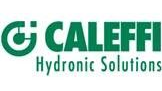 Logo Caleffi verde: un cerchio con una