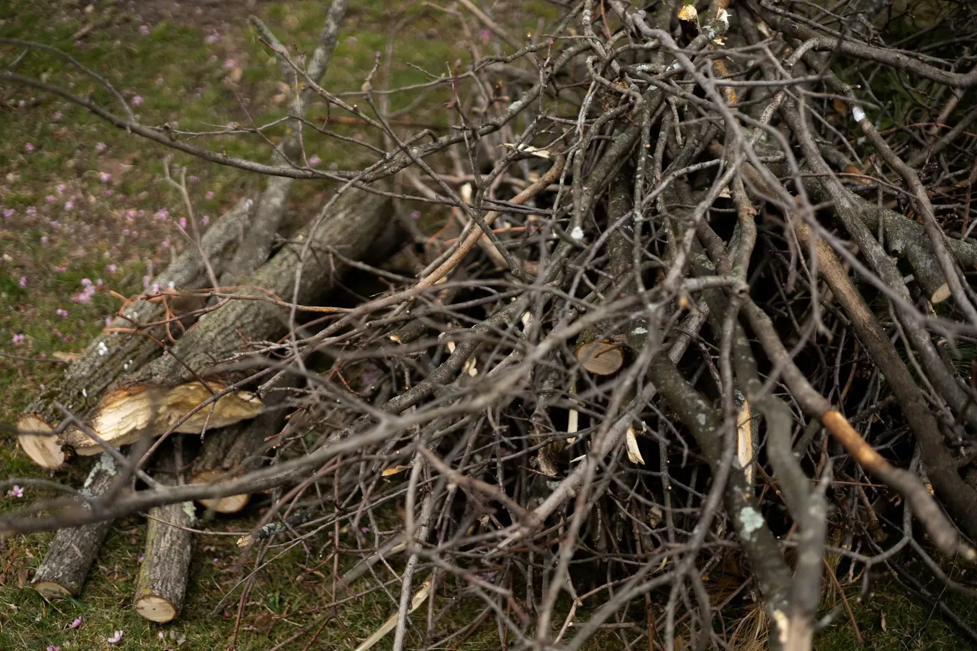 A pile of wood is sitting on the ground.