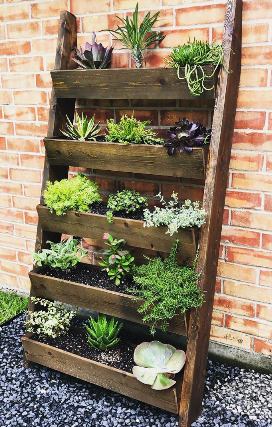 A wooden ladder filled with lots of plants against a brick wall.