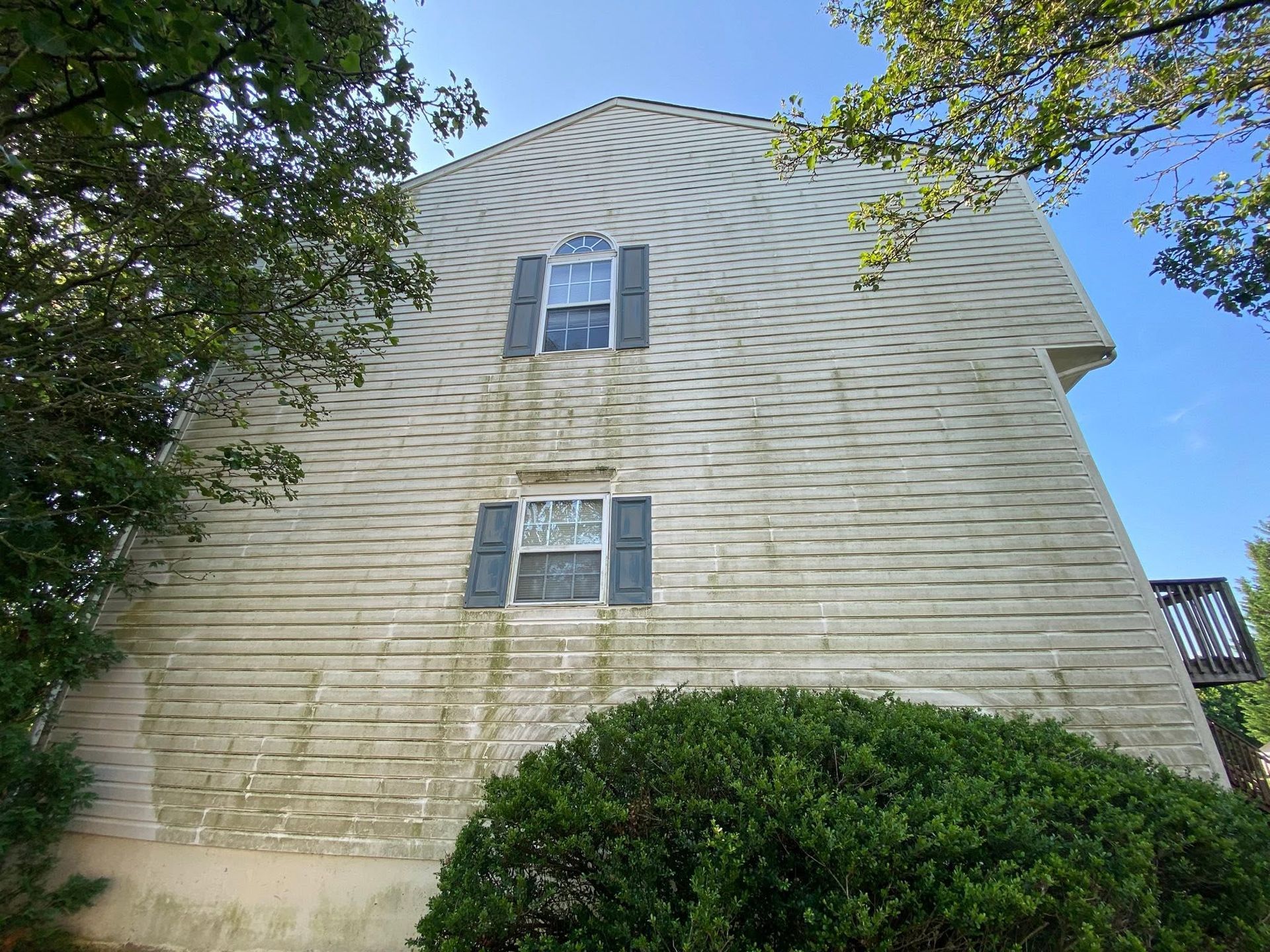 Weathered beige house exterior with two windows, framed by trees and blue sky