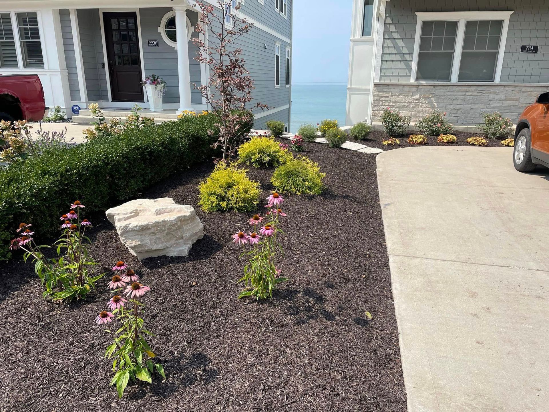 A front yard garden bed featuring coneflowers, low shrubs, and a large stone, next to a concrete driveway and two houses.