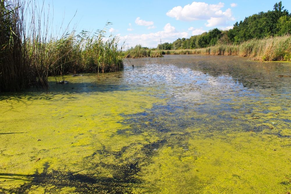 Learn how Rapid Logix enhances mosquito control in drainage networks by helping operators.