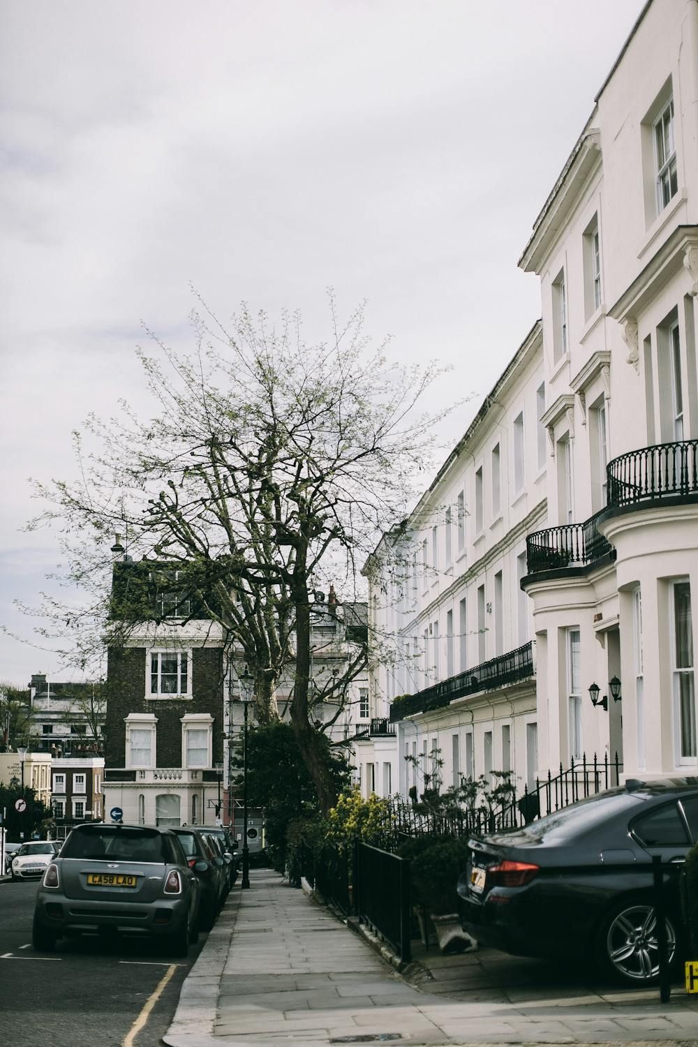 HOA & Multi-Family Property Services
