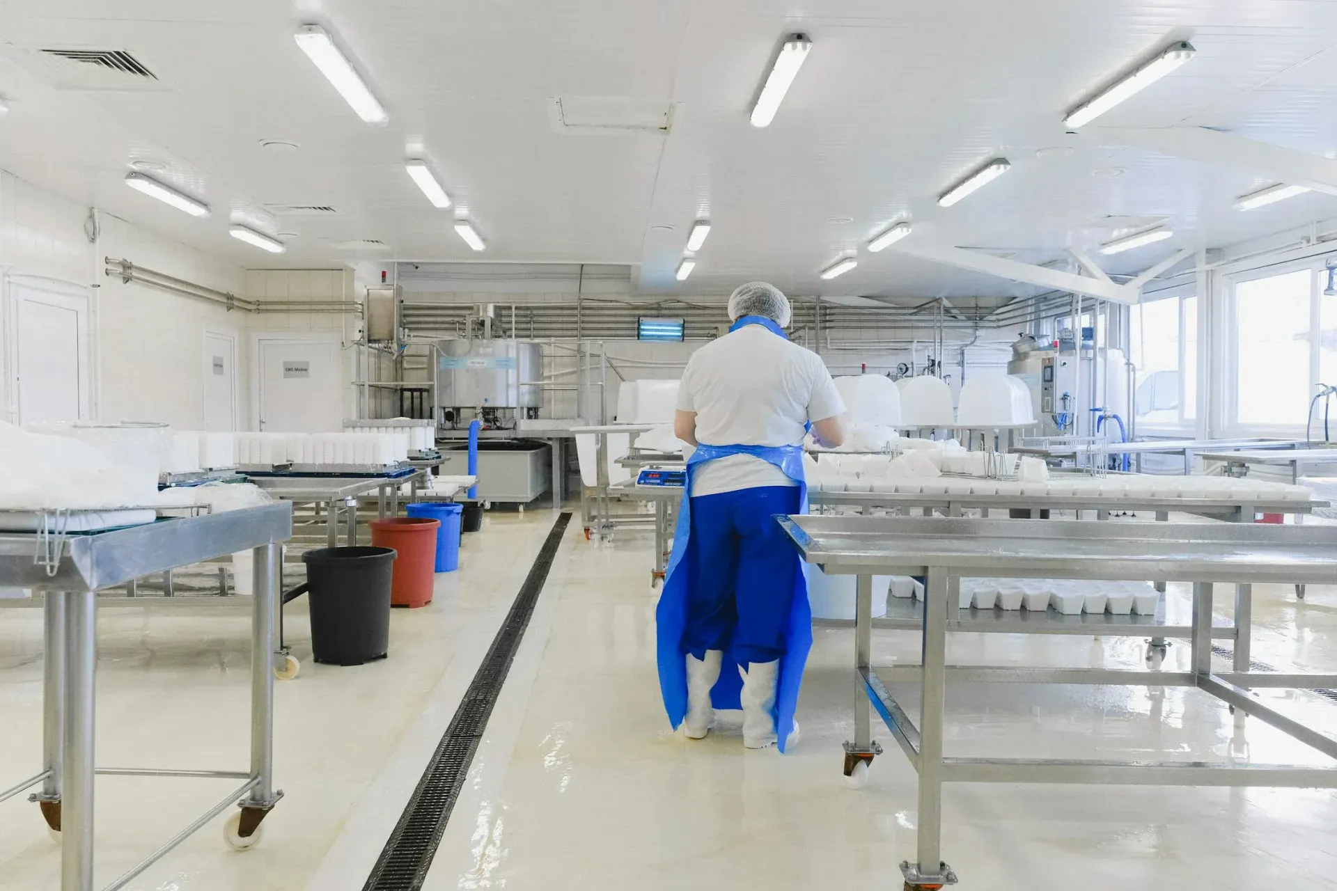 Manufacture process facility with worker in blue apron and hairnet.