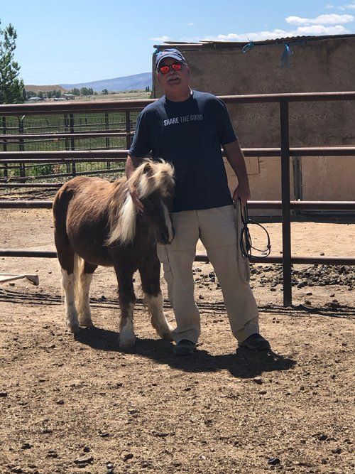 Man Holding A Horse — Fruita, CO — Harmony Acres Equestrian Center