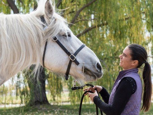 Christina Burke— Fruita, CO — Harmony Acres Equestrian Center