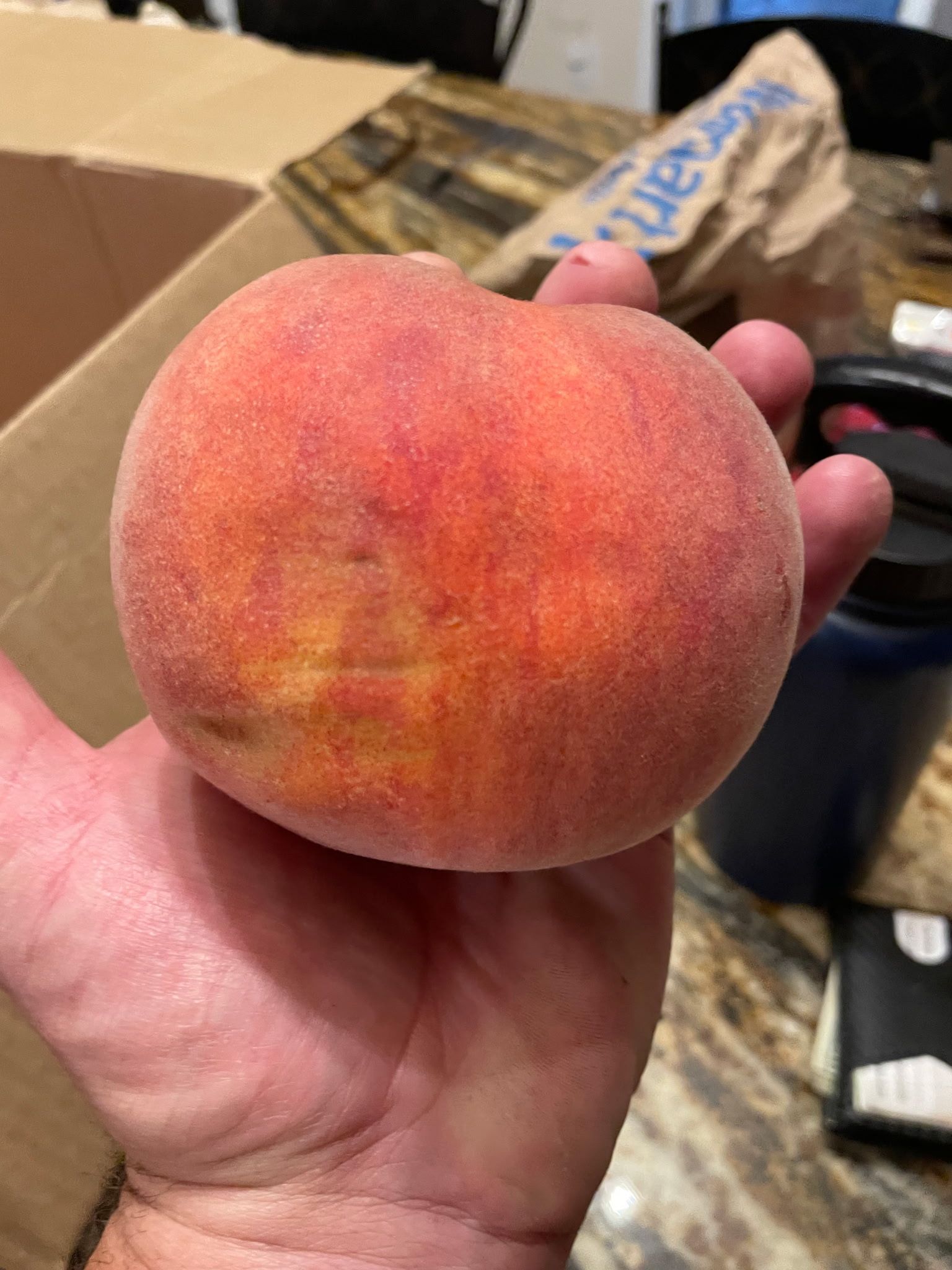 A Large Fresh Peach
