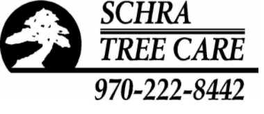 Schra Tree Care Schra Tree Care