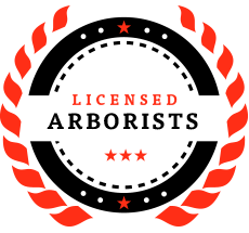 Licensed arborists | Loveland Colorado | Schra Tree Care Licensed arborists | Loveland Colorado | Schra Tree Care