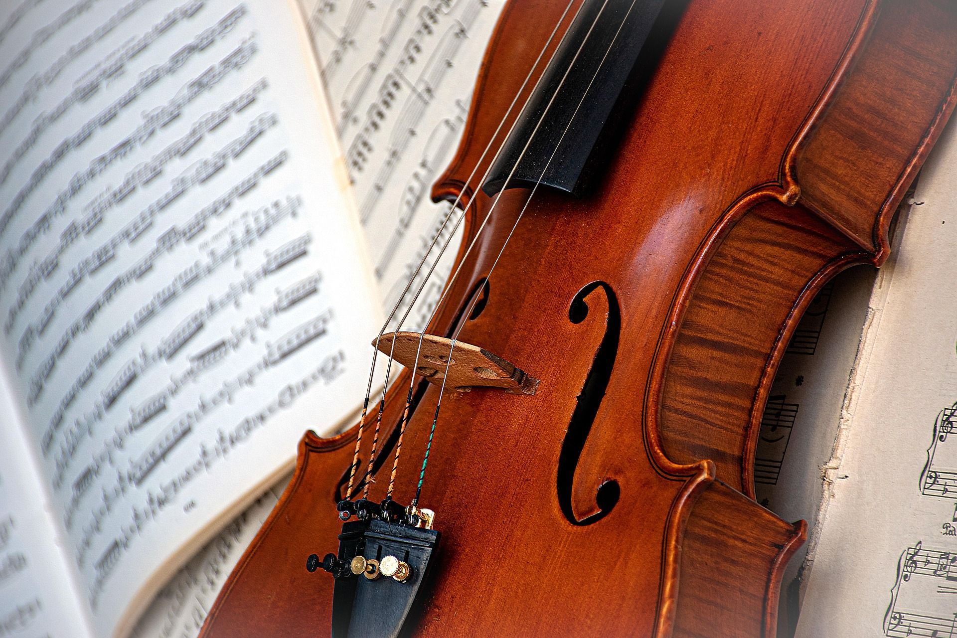 By ri_ya violin of Pixabay