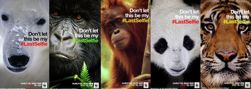 WWF campaign