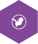 Obstetrics and Gynecology icon