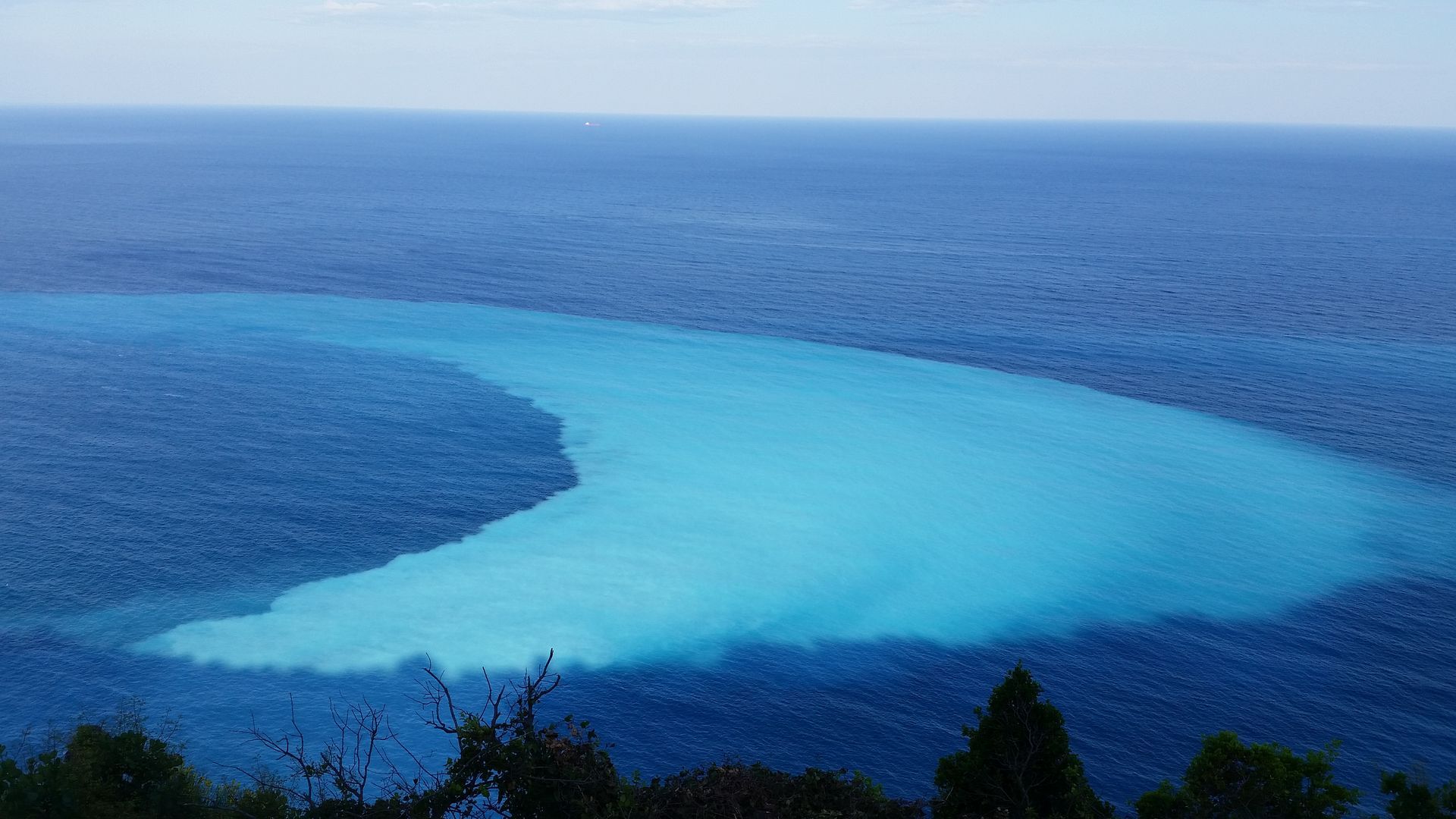 Turquoise shallow lagoon in a blue ocean, viewed from shore with dark foreground trees.
