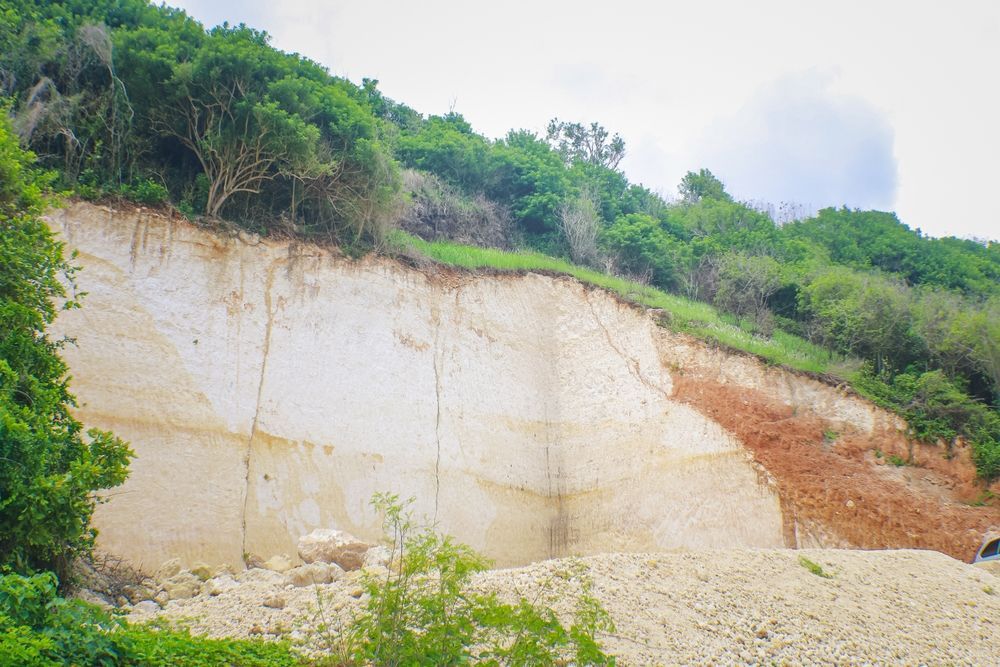Steep chalky cliff with exposed white and red rock beneath green shrubs and a pale sky
