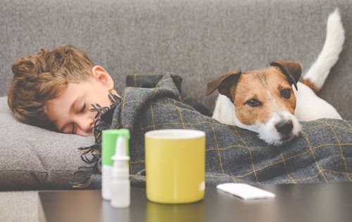 A person sleeping under a blanket on a couch next to a dog, with medicine and a yellow mug on a table in the foreground.