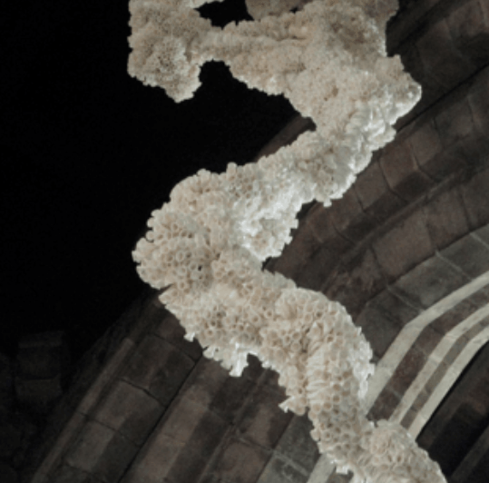 contemporary artist biography, multidisciplinary artist UK, sculpture and installation artist, David Booth MRSS