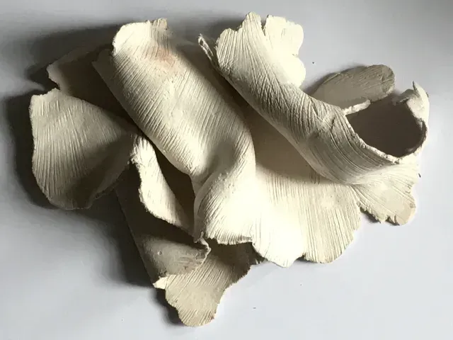 contemporary artist sculpture, ceramic, multidisciplinary artist UK, sculpture and installation artist, David Booth MRSS