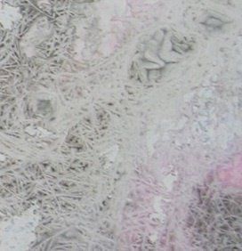 contemporary artist biography, multidisciplinary artist UK, sculpture and installation artist, David Booth MRSS