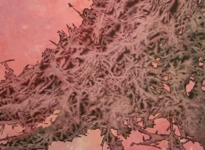 contemporary artist sculpture, multidisciplinary artist UK, sculpture and installation artist, David Booth MRSS, Painter, Fine Artist