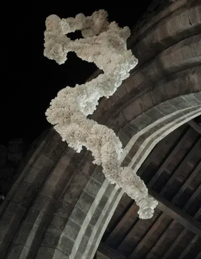 contemporary artist biography, multidisciplinary artist UK, sculpture and installation artist, David Booth MRSS