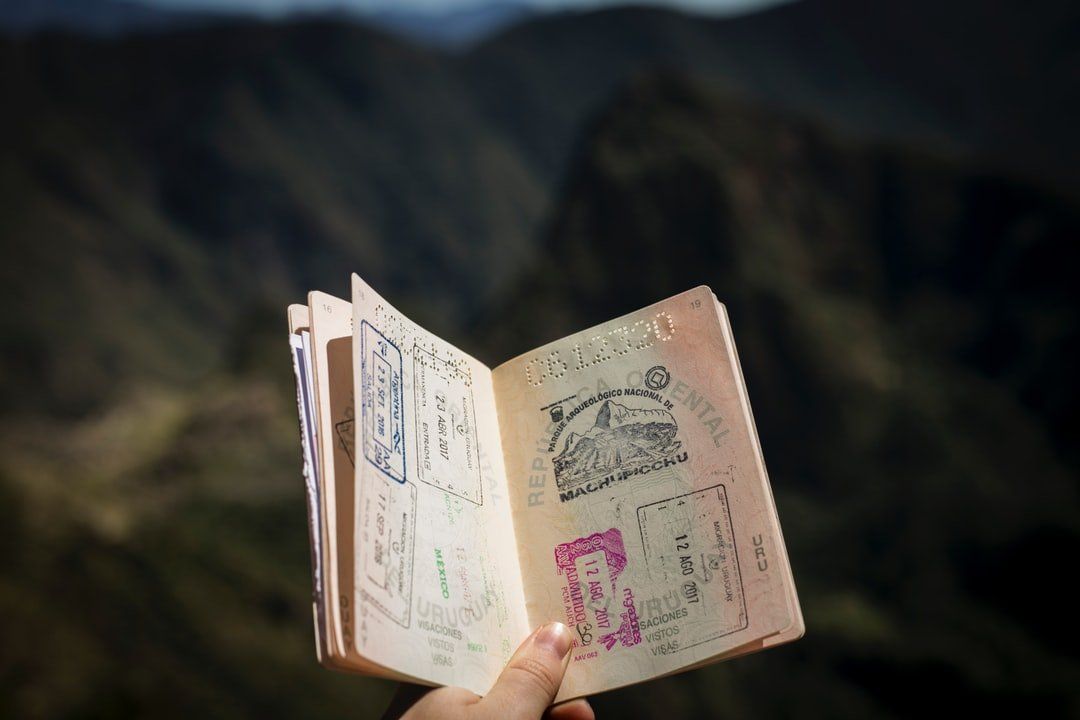 Hand holding open passport with multiple stamps, blurred mountain backdrop.
