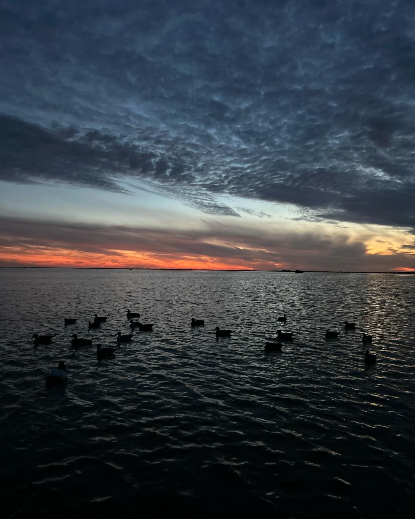 Ducks floating on dark water at dusk under a dramatic cloudy sky with a glowing orange horizon