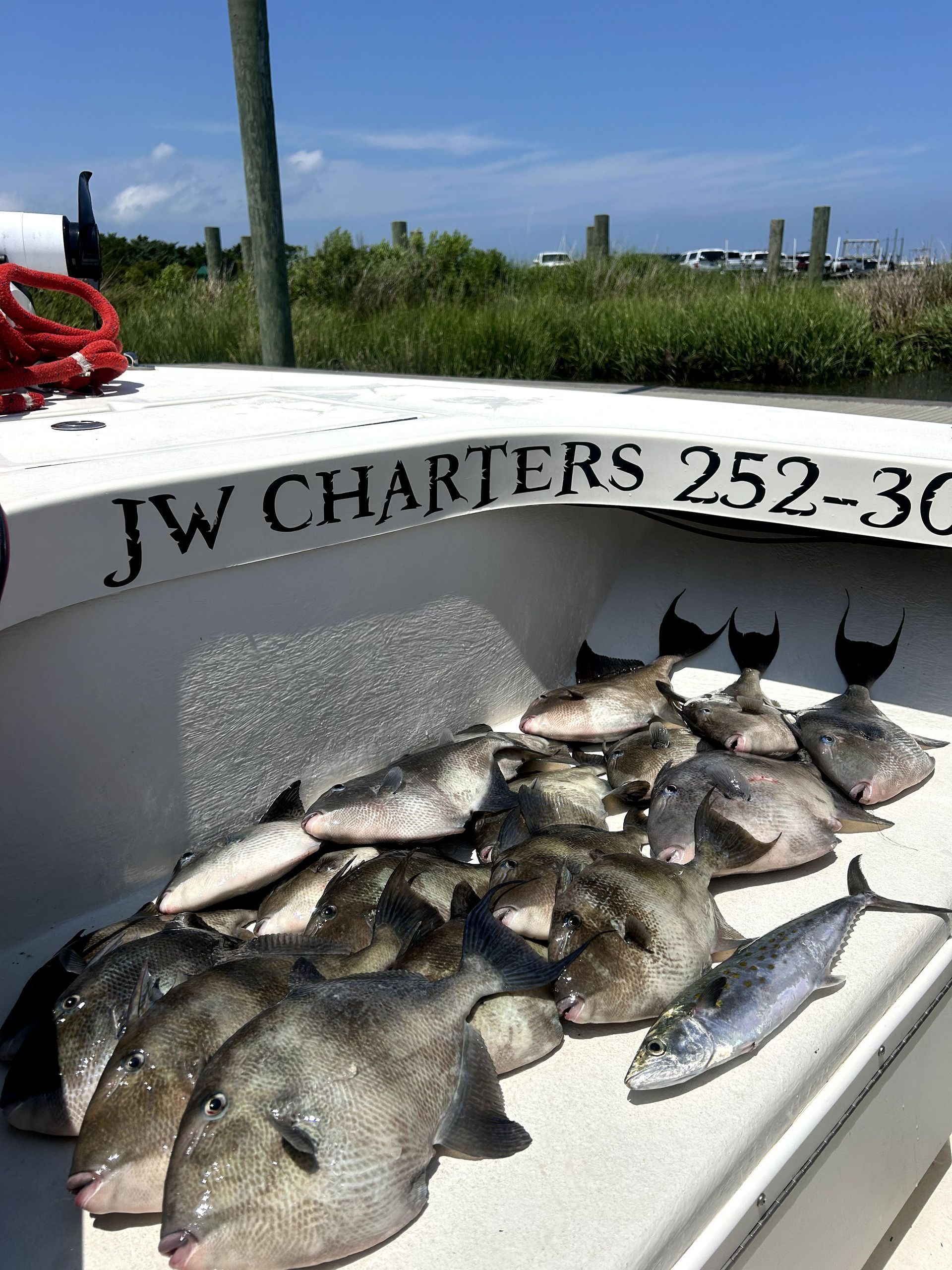 Catch of fish on a boat deck beside a JW Charters railing, with water and marsh in the background