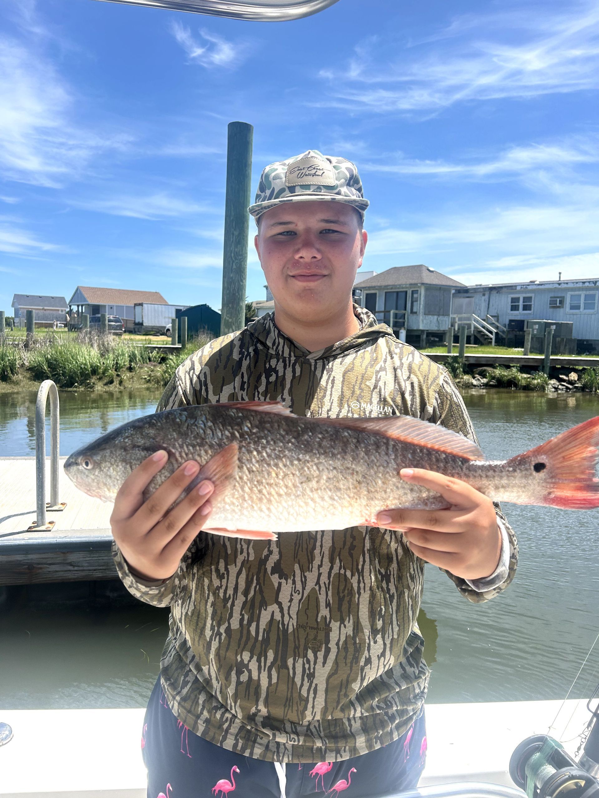 Person holding a large fish on a dock with waterfront houses and blue sky in the background