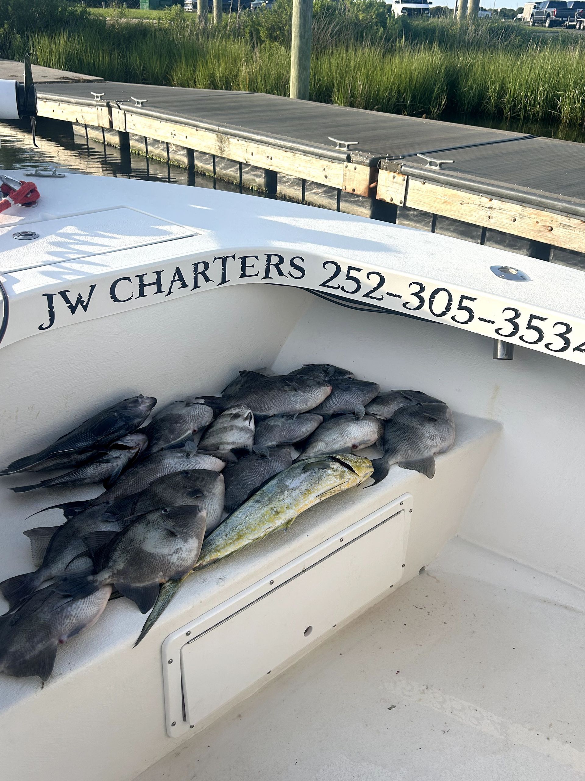 Boat deck piled with freshly caught fish beside a dock, with “JW Charters” visible on the side.