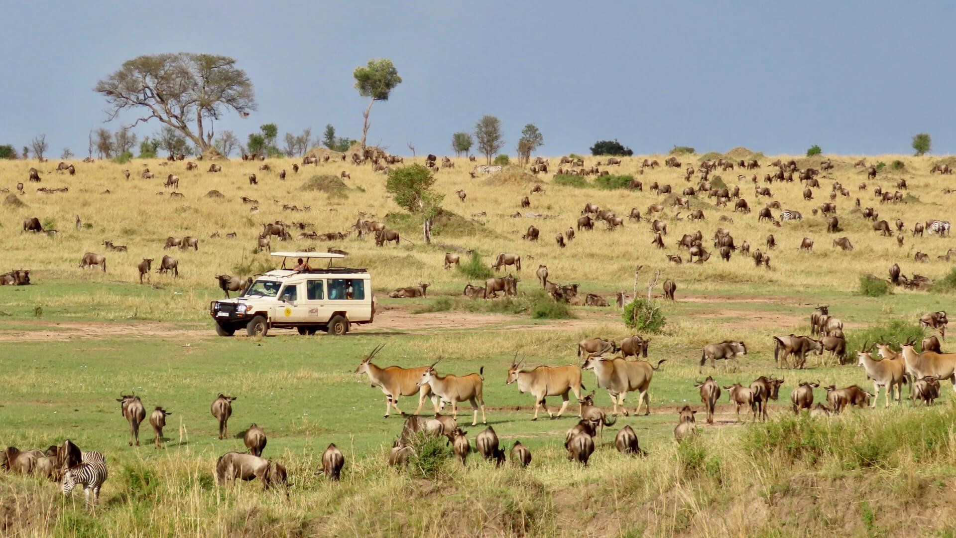 TANZANIA DELUXE SAFARI - Predator Safaris