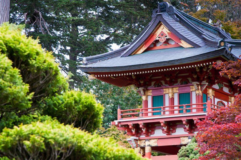 Rumi – Guest House