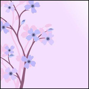 Flower Flower