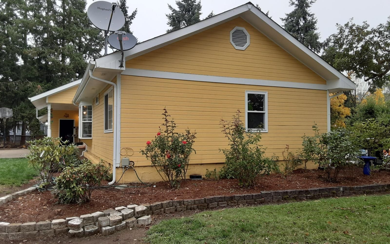 Yellow house with satellite dish, small garden, and white-trimmed windows in a residential yard