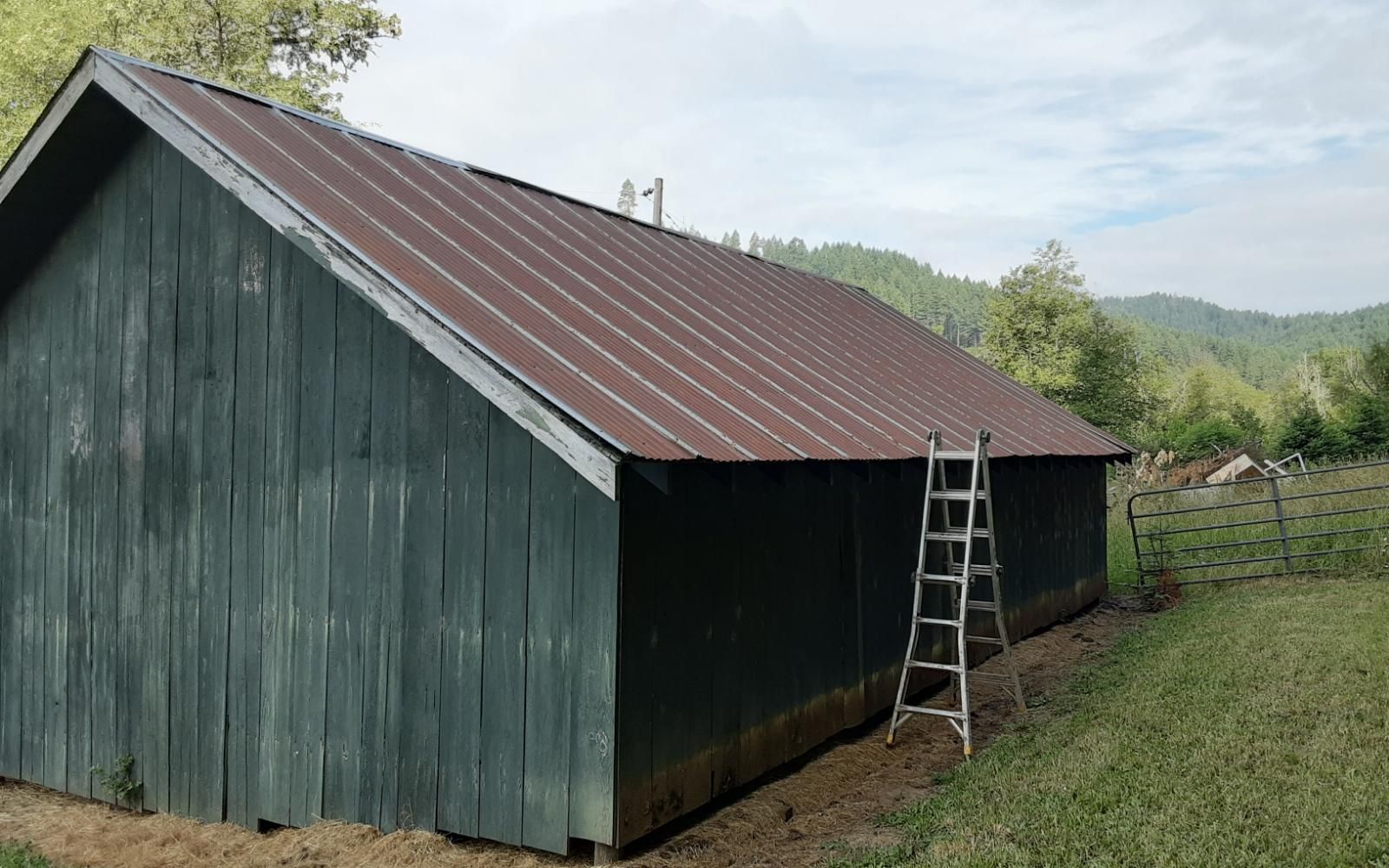 Large green barn with a rusted metal roof and a ladder leaning against its side in a rural field.