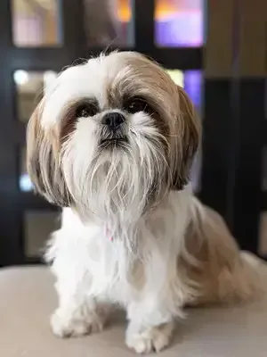 Mali Kay Walker