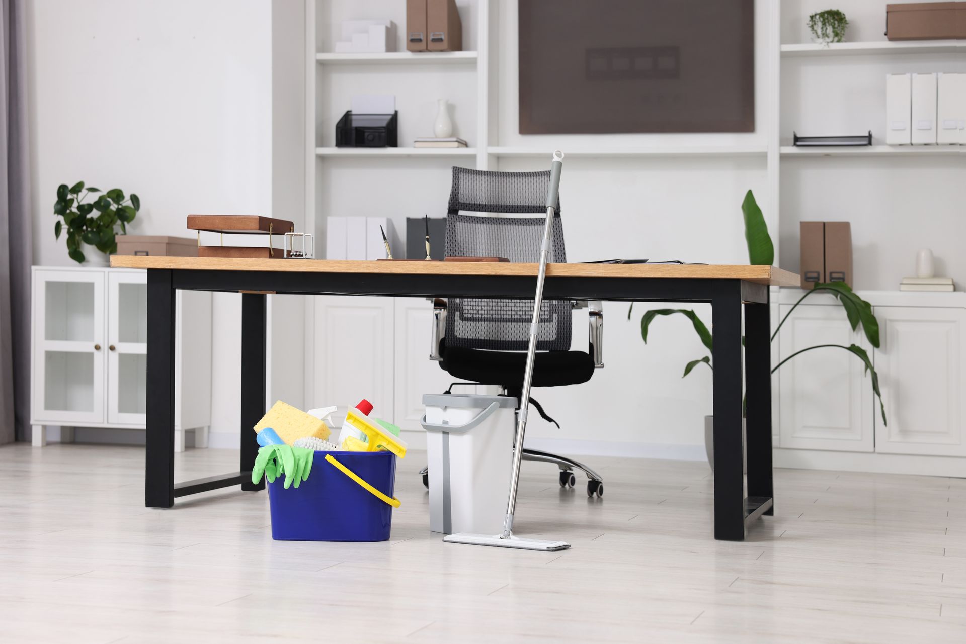 Modern office with a desk, chair, potted plants, and a blue cleaning bucket on the floor