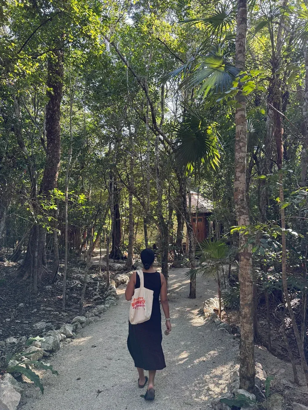 Persona caminando por un sendero de grava a través de un frondoso bosque llevando una bolsa de mano.