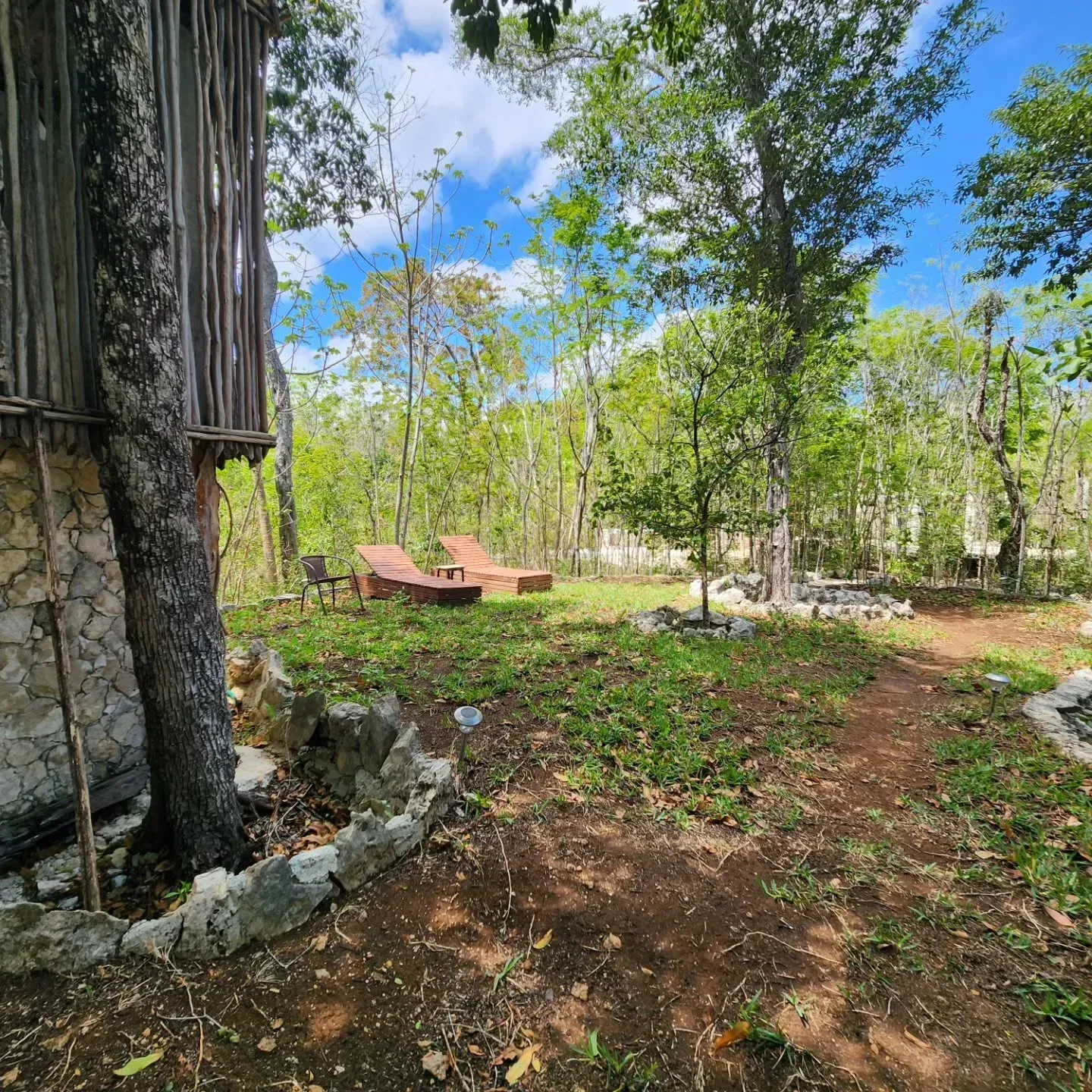 Una casa en el árbol junto a un patio arbolado con árboles, tumbonas y un cielo despejado.