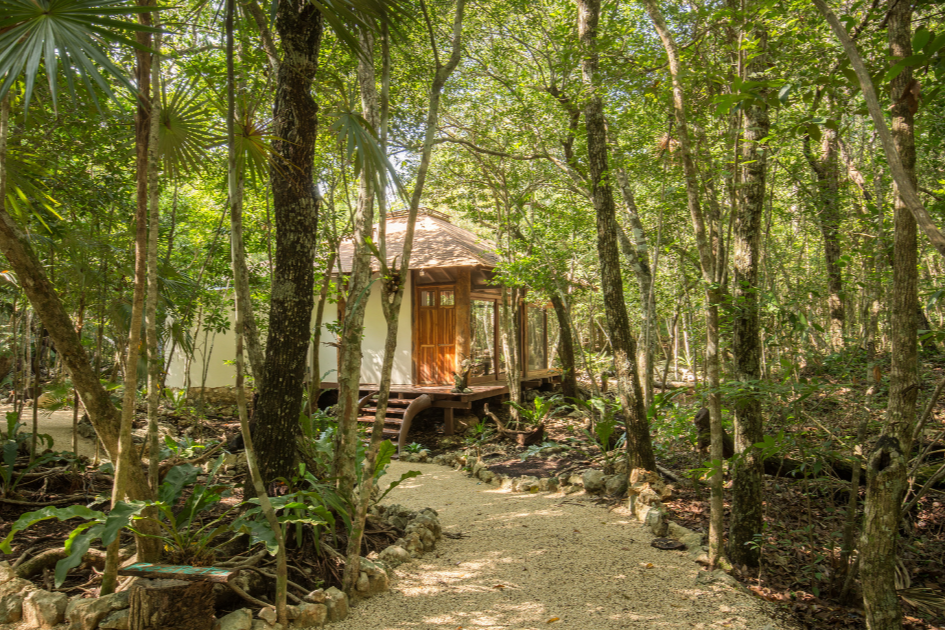 Cabaña en la selva