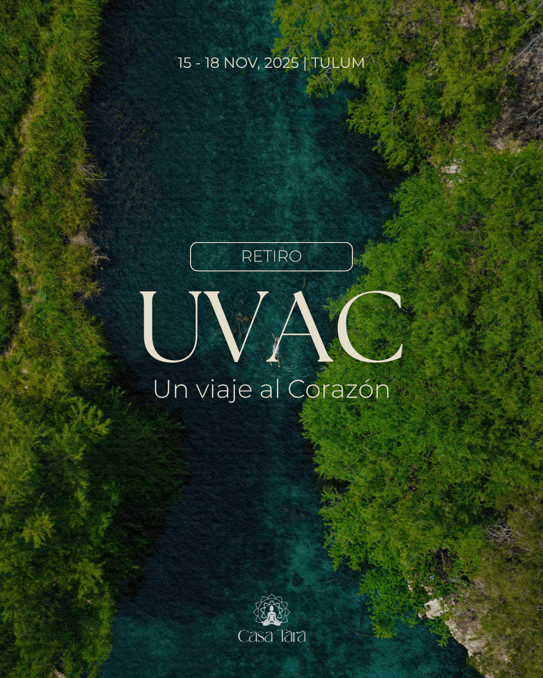 Un viaje al corazón - Flyer