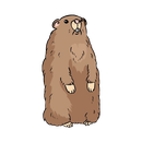Woodchucks — Monroe, WI — Accurate Pest Control LLC