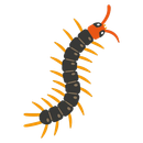 Centipedes — Monroe, WI — Accurate Pest Control LLC
