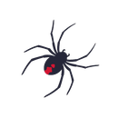 Spiders — Monroe, WI — Accurate Pest Control LLC