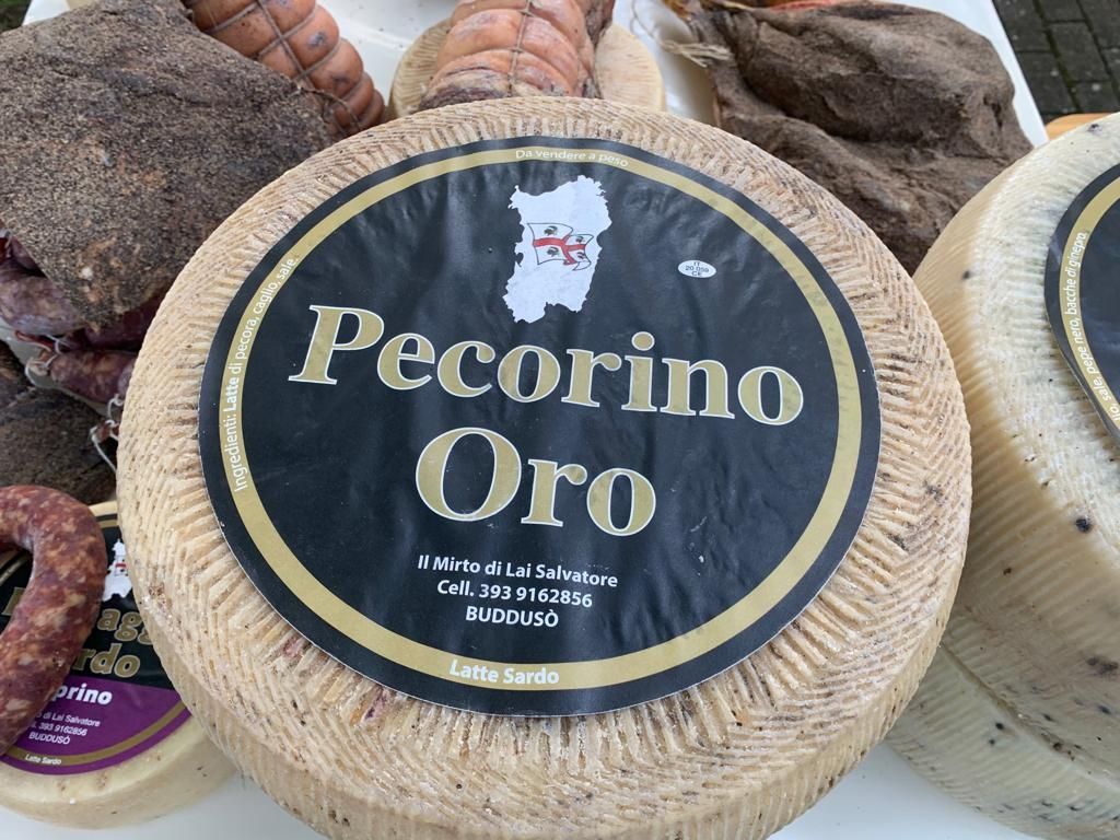 pecorino oro