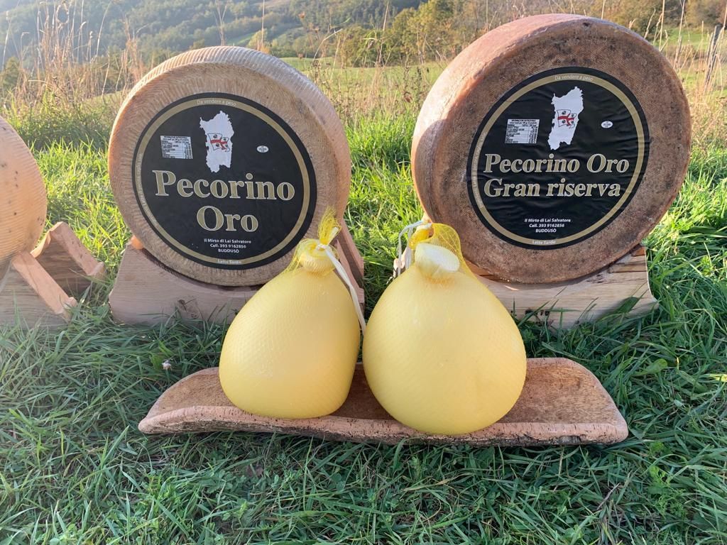 pecorino oro e perette