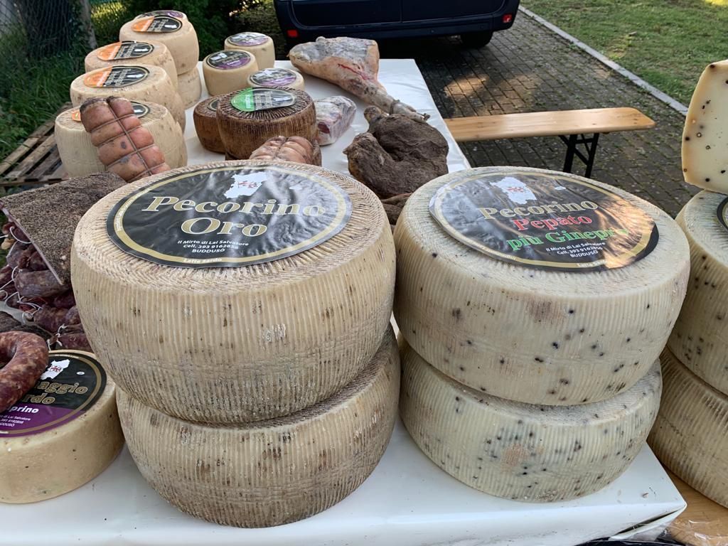 forme di formaggio pecorino