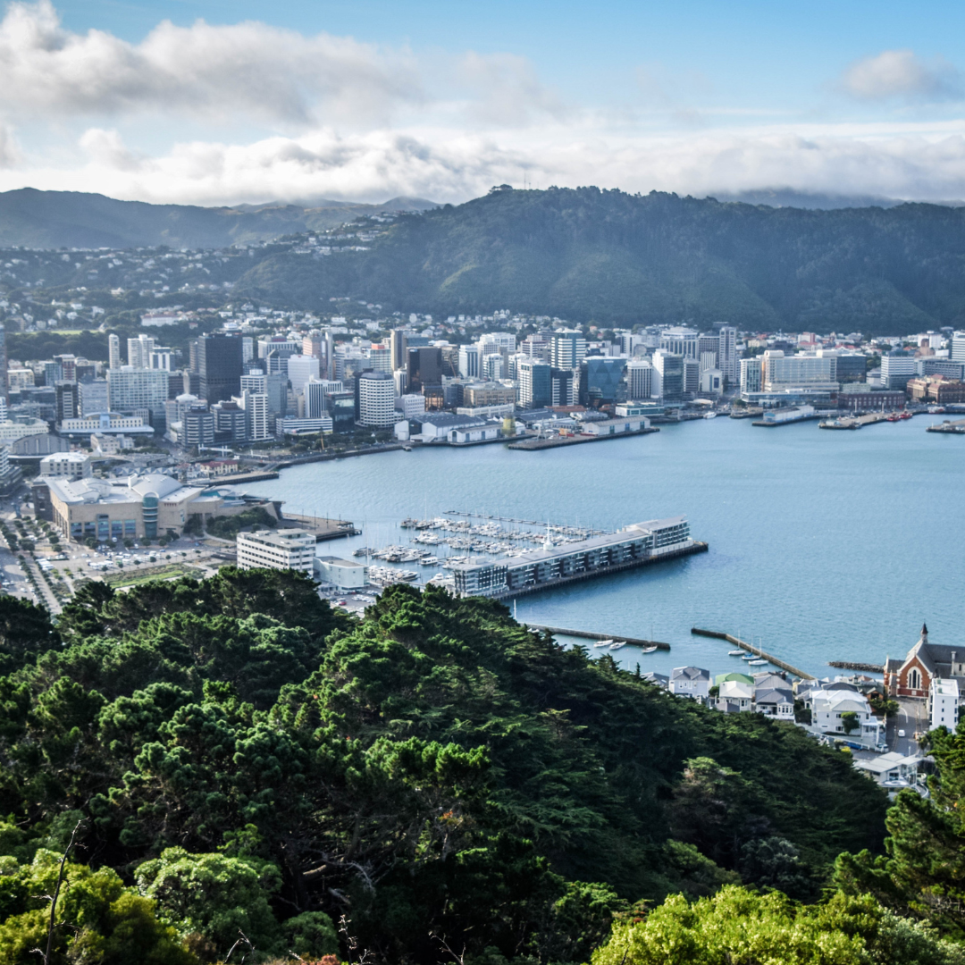 Wellington, New Zealand, harbor view. City skyline, waterfront, blue water, green hills. Sunny day.